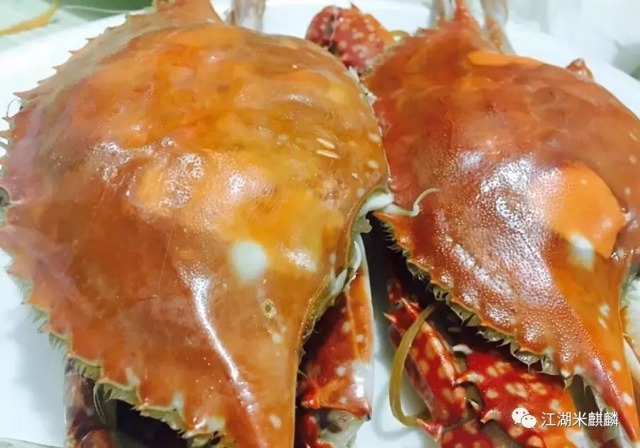 青岛吃海鲜攻略靠海边的地方,每年来青岛吃海鲜必去的地方