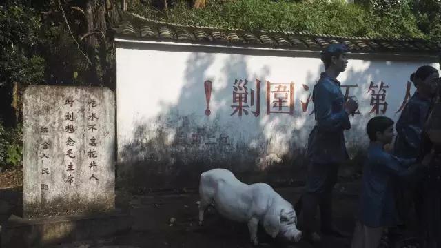 深圳求水山龙之谷公园,深圳欢乐谷公园门票