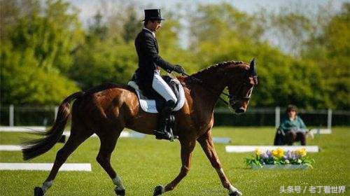 中国最擅长的十大体育运动,英国最受欢迎的运动有斯诺克吗