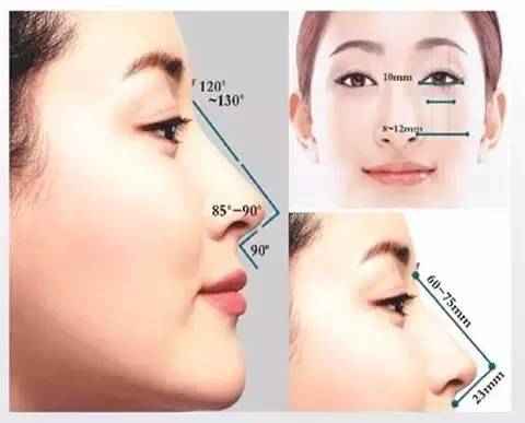 颜值的上限取决于鼻子的高度吗,眼睛鼻子哪个决定颜值