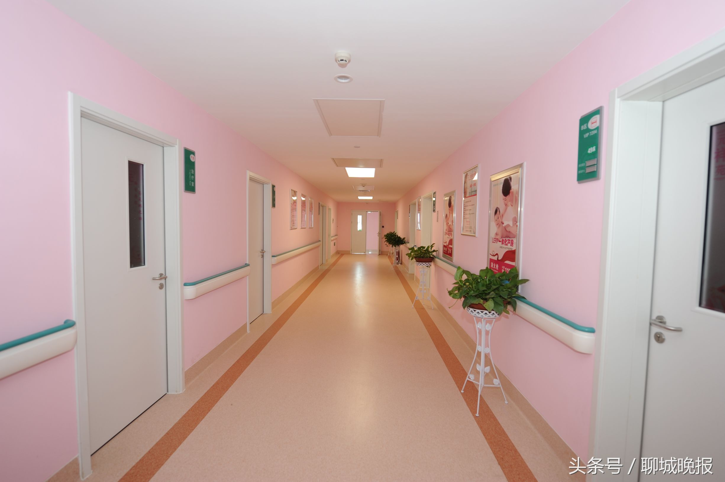 弄璋和弄瓦之喜,弄璋之喜和弄瓦之喜读音