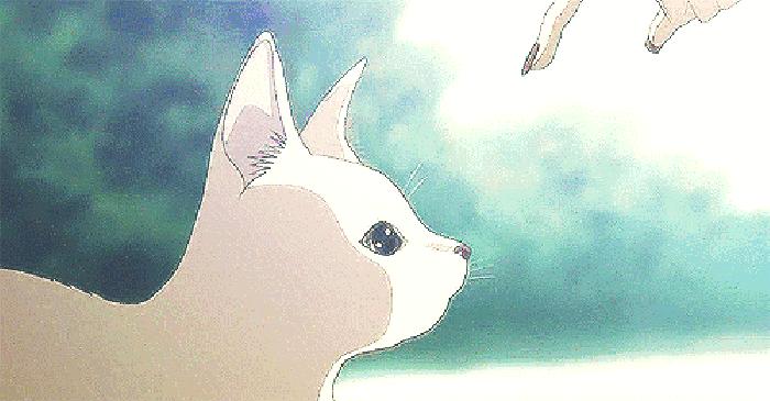 十种好用又不贵国货护肤品,推荐几款平价最好的国货护肤品