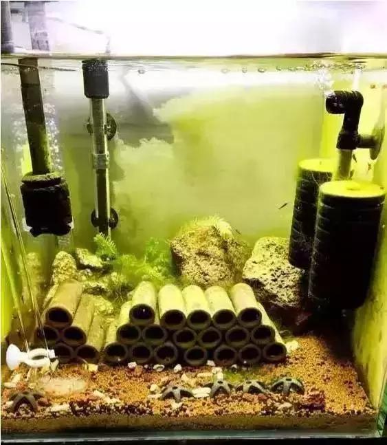 家装水景鱼缸造型全景,家居水景大号