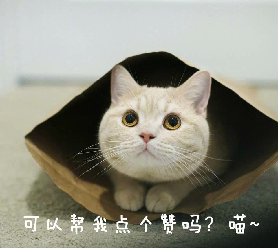 亳州有什么特产可以带回家吃,亳州特产适合携带