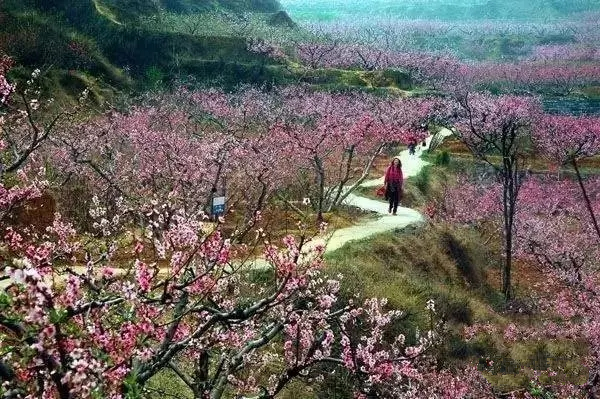 去郑州哪里旅游最便宜又好玩,郑州值得旅游的地方有哪些