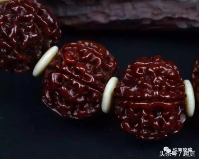 怎样防止文玩生虫,文玩昆虫