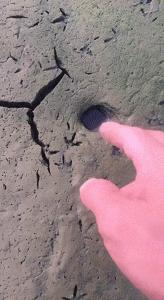 抓甲鱼视频100斤大甲鱼,甲鱼高手视频教程