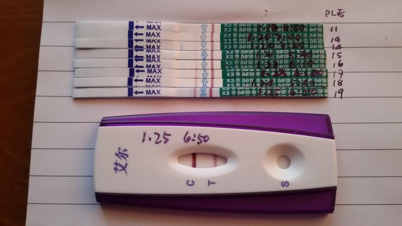 备孕期间，我天天给“输卵管”做体操