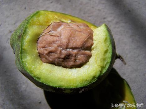 给朋友寄了箱绿皮核桃，他说这水果太苦了！吃完牙齿嘴唇还发黑！