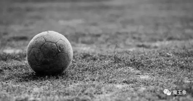 不知何谓动物受审?10个中世纪文化知识点定能帮到你