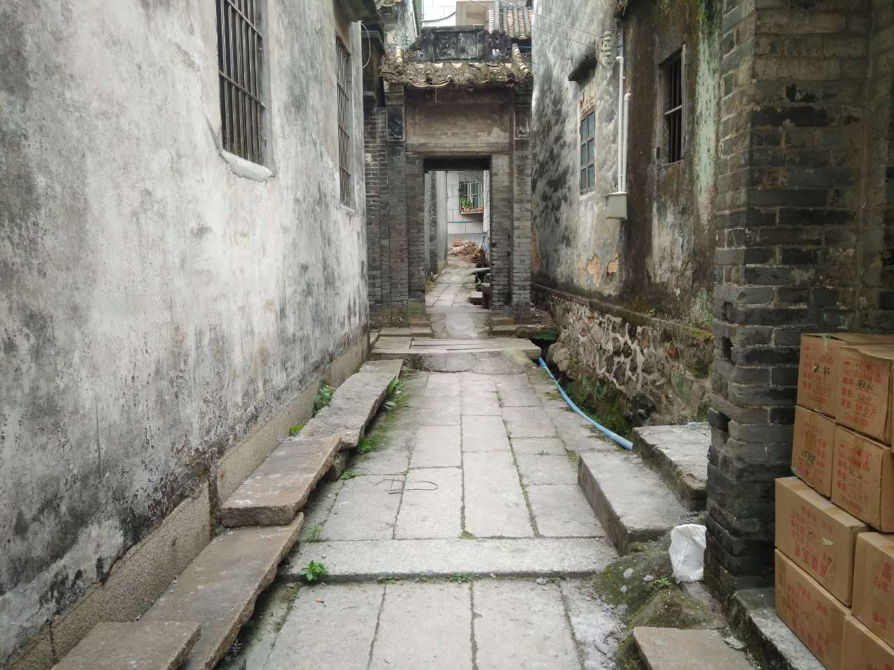 沙田村旅游攻略,广东东莞乡村休闲体验季