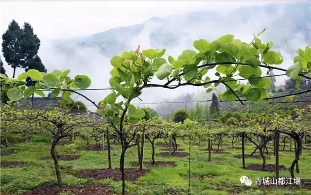 四川旅游一条很直的公路,四川唯一一条有路灯的高速公路