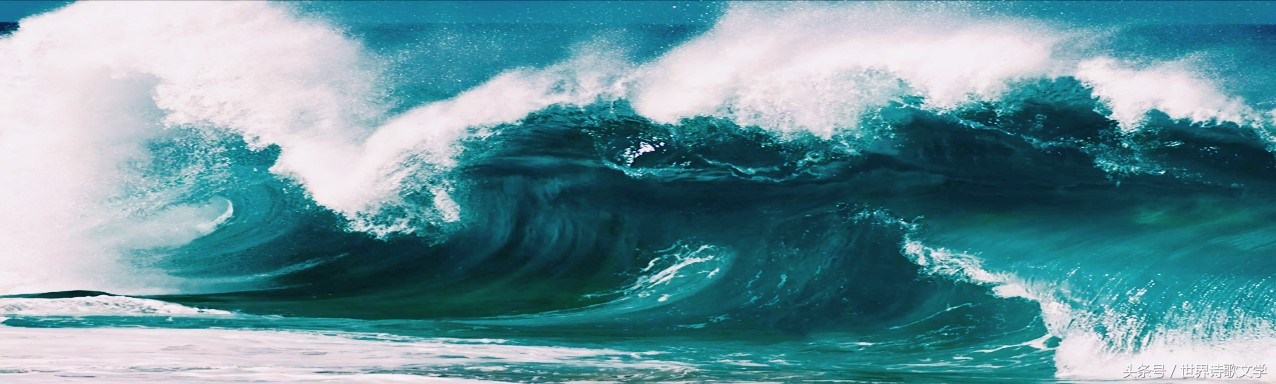 「世界诗歌文学」浪头一直举起没有倒下，很多事物一哄而散