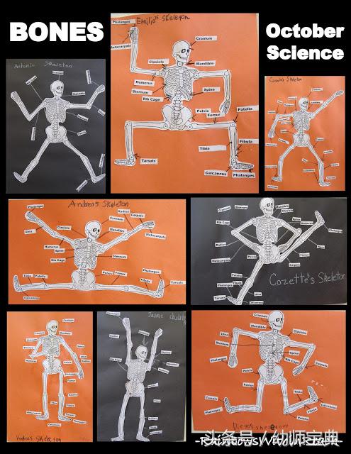 幼儿园我身边的人主题墙布置,幼儿园独特的我主题墙布置