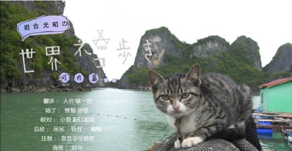 可爱猫咪动画片有哪些,十大可爱的猫咪动画片