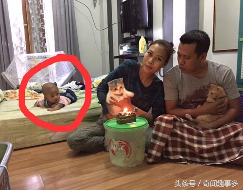 天王盖地虎，这tm真的一米吧，不过做她的猫真幸福