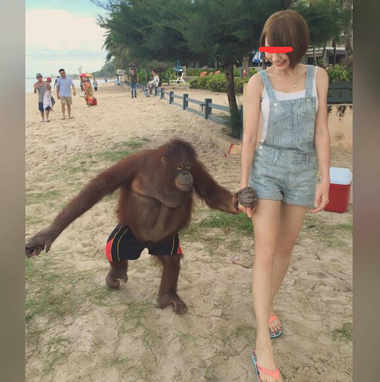 今天是个重要的日子搞笑,今天是个重要日子素材