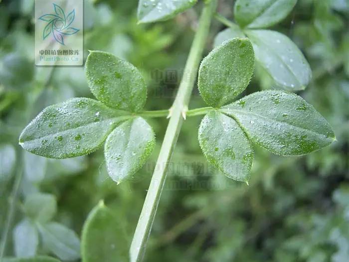 南京十大赏花胜地,南京玄武湖春季赏花攻略请收好
