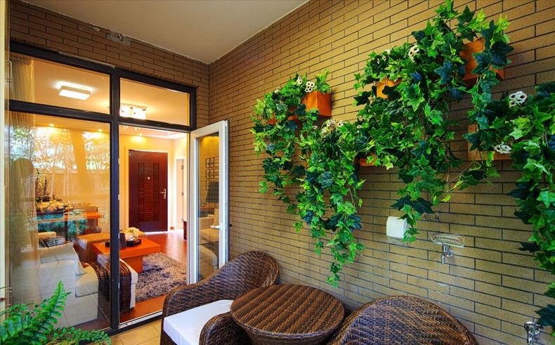 阳台种菜的步骤和方法,阳台种菜的方法全过程