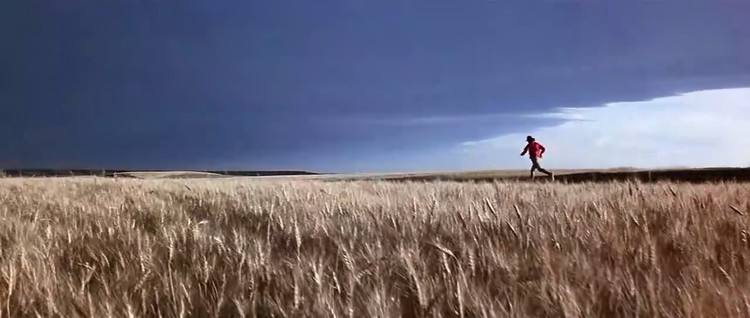 「请勿盲目收藏」——只推荐17首让你过耳不忘的经典影视原声