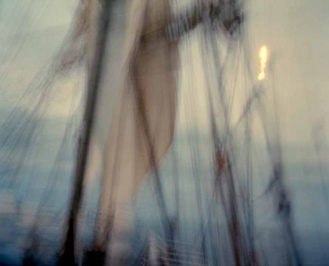 teamLab你颤抖吧!《艺术航海大型回顾展》强势登陆