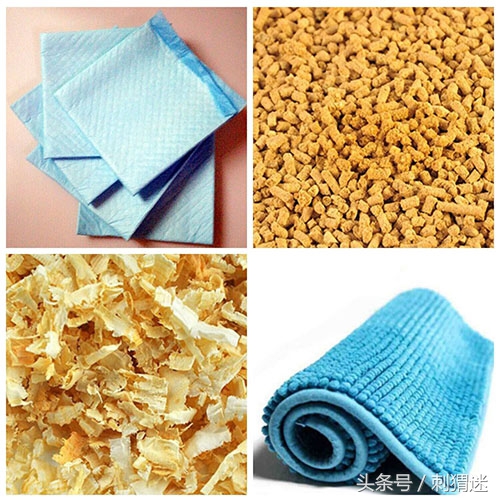 想养宠物需要做什么,想养宠物条件