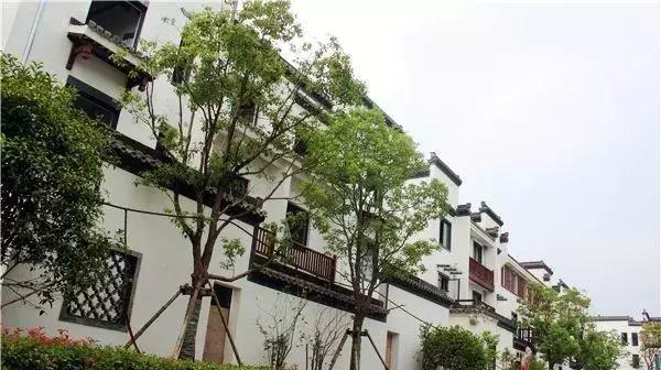 六安最新规划小镇,六安小镇最新消息