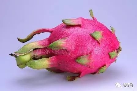 火龙果蒸着吃有什么功效,常吃火龙果的危害