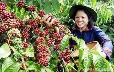 农产品如何全网做营销,新农人必学的营销策略