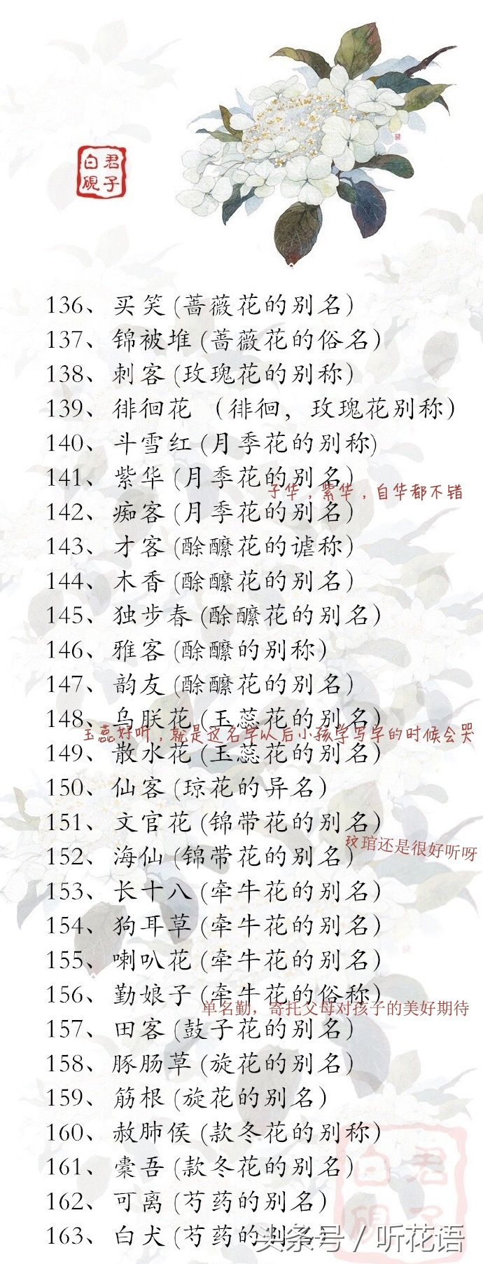 花的别称一个字,给孩子取一个寓意很健康的名字