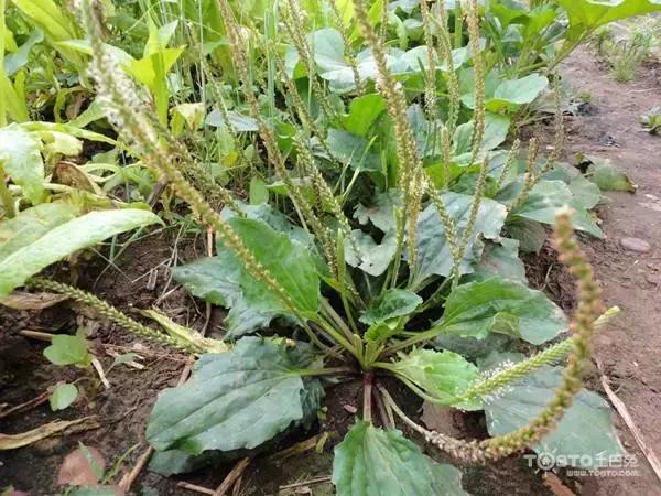鸠歌湾，大北山怀里的“小江南”