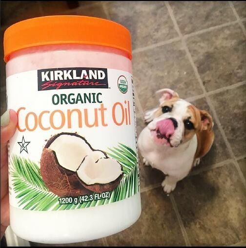 美国第二大超市costco怎么读,美国costco超市中国有几家