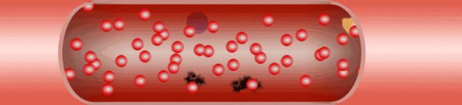 南怀瑾大师讲的心肾相交秘法,中医大师教你调理心脏
