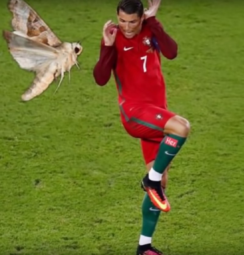 不信你不笑搞笑视频剪同款,不信你不笑的搞笑片段