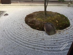 碉堡｜日本关西深度游最详细攻略！体验全日本最美的小渔村，吃嗨