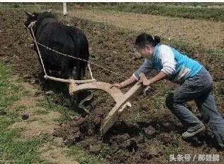 妈妈是泼妇型儿子会怎么样的性格,母亲是泼妇影响了我的婚姻