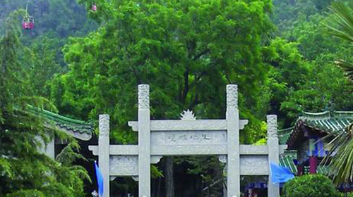 十一攻略指南,详细攻略带你轻松游玩