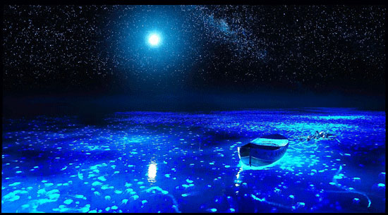 索尼a1对比a92,索尼a25和a17对比