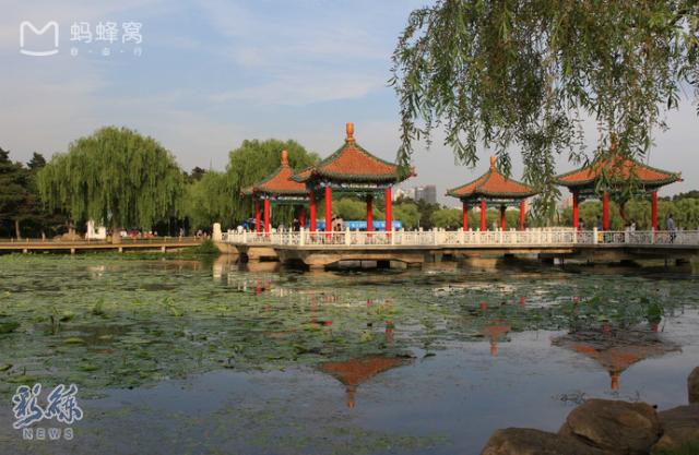 长假不远游的地方,长假不远行浙里有风景