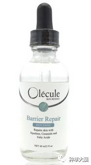 平价美白保湿精华,干性皮肤秋冬适合的保湿精华