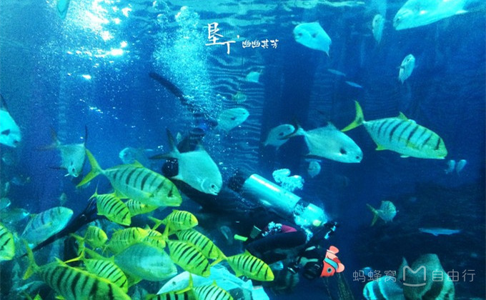 垦丁包车一日游价格,垦丁两日游价格