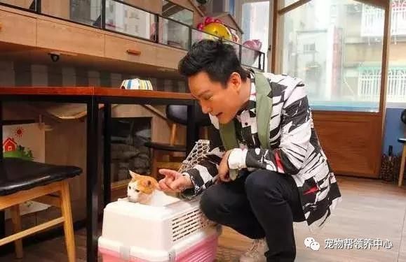 张信哲捡破烂开飞机,张信哲养的宠物