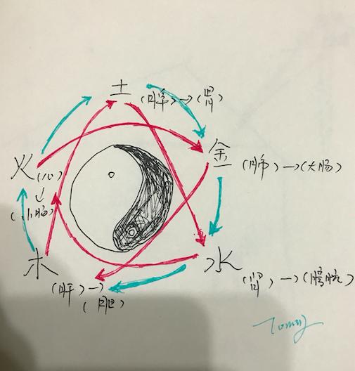 调理一切病证中医为何从脾胃入手,中医讲一切疾病从调脾胃开始
