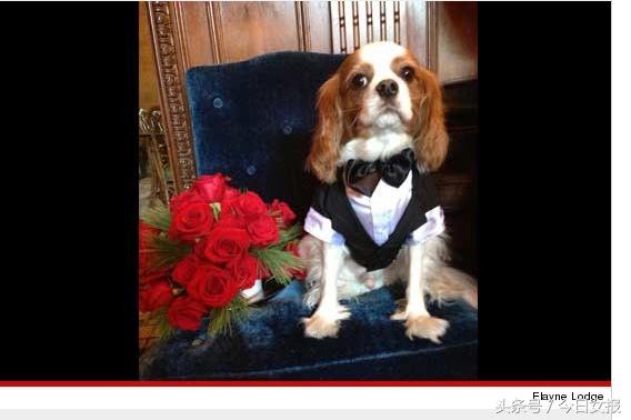 花花公子创始人多大去世,花花公子创始人去世时间