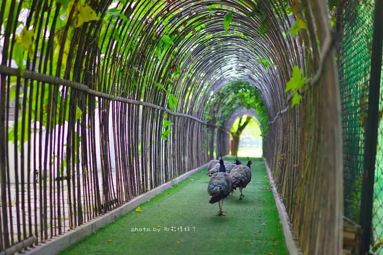 北京汤泉度假酒店排名,京城度假酒店