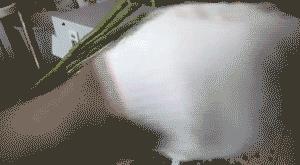 给玫瑰去刺的几种方法,玫瑰鲜花的刺怎么处理