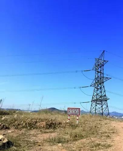 青岛宜家的发展前景,青岛宜家最新动态