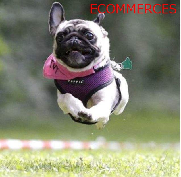 有哪些有意思的运动,有什么推荐的有氧运动