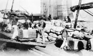 蔡甸为什么不发展老城区,蔡甸近10年有哪些变化