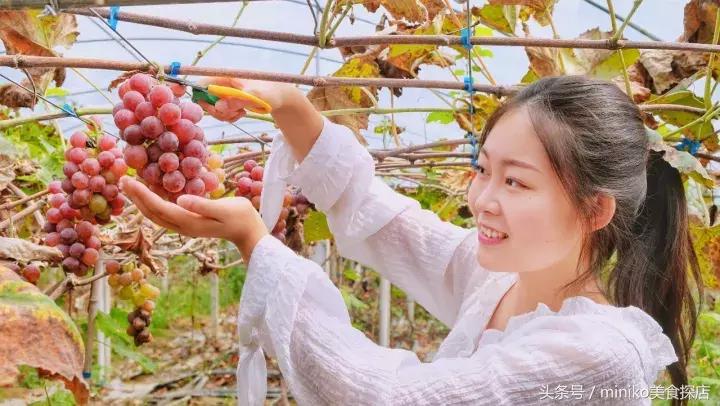 成都周边农场推荐,成都周边最有特色的农场